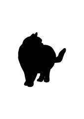 Silhouette cat vector