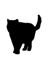 Silhouette cat vector