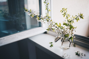 Weiße Blüten im Glas neben dem Fenster