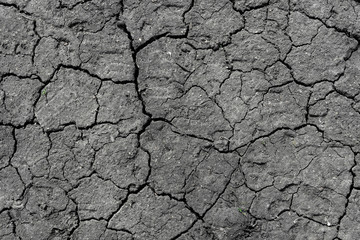 Dry cracked earth background, clay desert texture