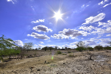 Portraits of the Word. Brazil