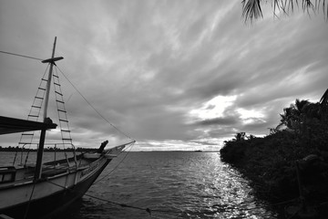 Portraits of the Word. Brazil