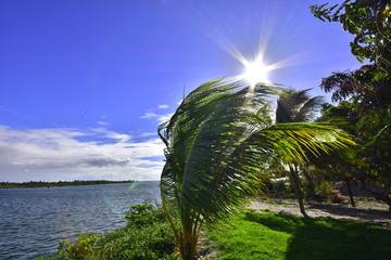 Portraits of the Word. Brazil