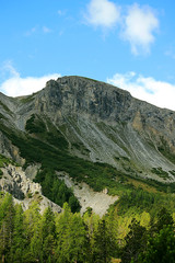 Obraz premium Montagna su foresta