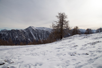 Montagne in inverno