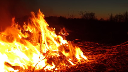 fire