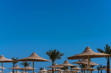 Wicker umbrellas and tropical green palm trees on blue sky