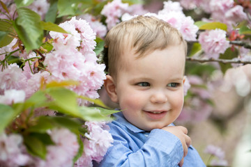 Cute baby boy among pink blossoming flowers