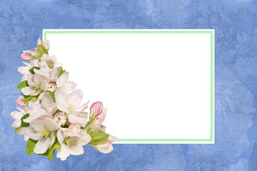 Greeting card with apple flowers,empty blank