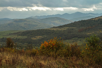 Fototapeta premium Golden Autumn in the mountains