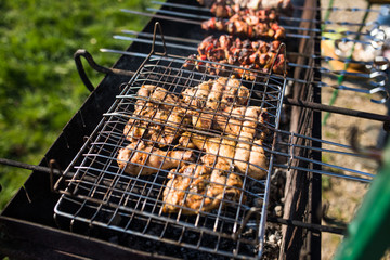 closeup of some meat skewers being grilled in a barbecue. Grilling marinated shashlik on a grill.