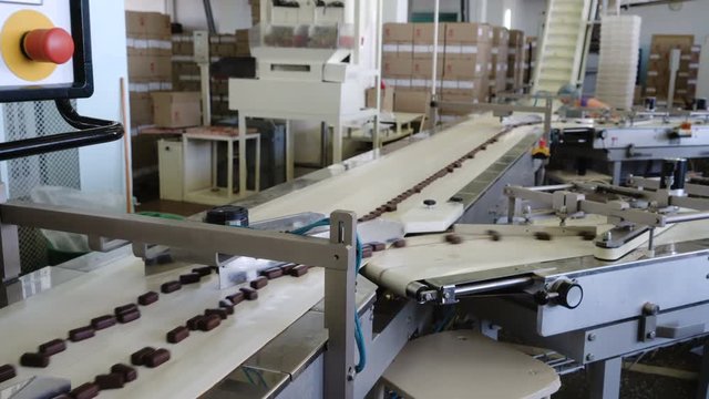 Production line for the production of chocolates. Candy covered with chocolate. Sweets move along the conveyor. Panorama.