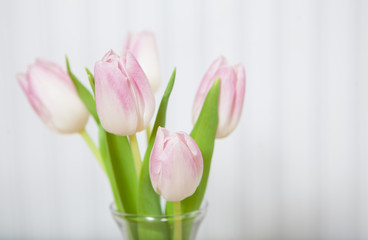 Gift of Fresh Flowers