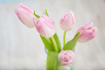 Gift of Fresh Flowers