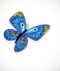 Colorful butterfly on white background