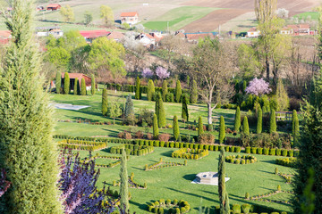 Beautiful ornamental garden with blooming trees and lawn