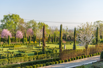 Beautiful ornamental garden with blooming trees and lawn