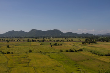 Fototapeta premium Thai field