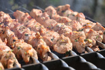 Meat is grilled / Schaschlik / Barbecue cooking