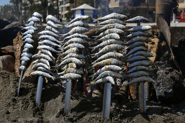 sardines grilled on the beach restaurant in Spain