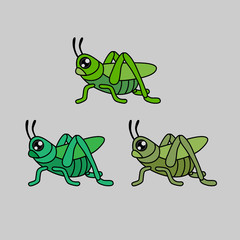 grasshopper