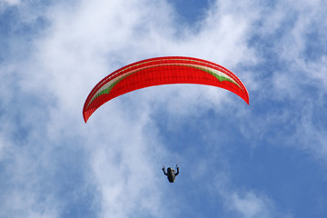 Paraglider