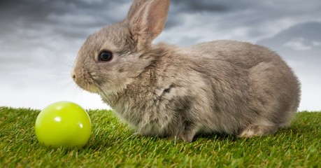 Easter rabbit with egg ball in front of cloudy sky