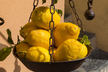 Limoni di Sorrento
