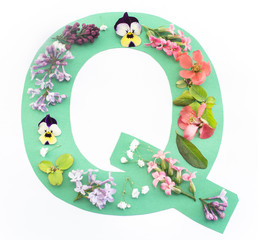 Letter Q Made of Spring Flowers and Paper