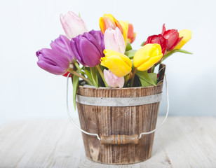 Colorful Fresh Flowers