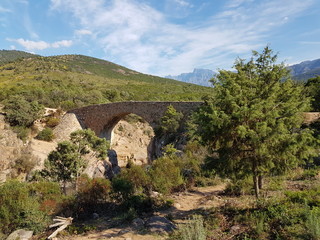 Fototapeta na wymiar Corsican stone bridge
