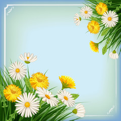 Fototapeta na wymiar Fresh spring background with grass, dandelions and daisies