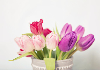 Fresh Flowers with Copy Space