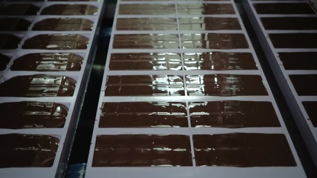 Confectionery factory. Сhocolate production. Trays with chocolate bars move along the conveyor. Close-up.