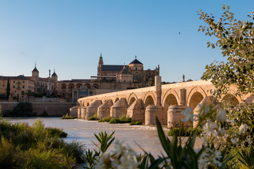 Cordoba