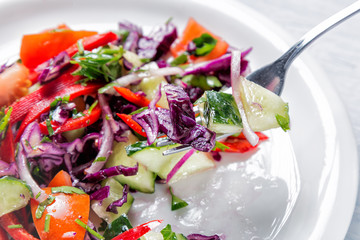 Organic food. Fresh salad on white plate with fork. Focus on fork
