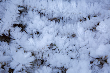 Cristaux de givre