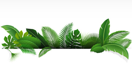 Sign with text space of Tropical Leaves. Suitable for nature concept, vacation, and summer holiday. Vector Illustration © Rendix Alextian