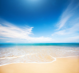 beach and tropical sea