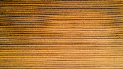 Natura e paesaggio: vista aerea di un campo, coltivazione, campo arato, campagna, agricoltura, 