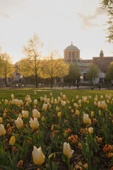 Stuttgart Schlossgarten