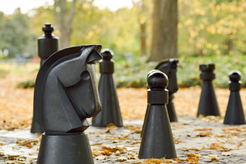 Duże szachy