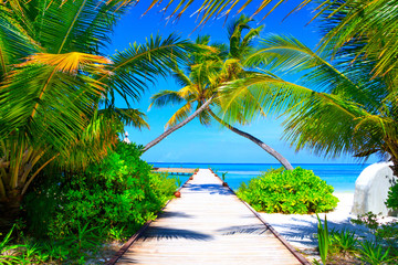 Dreamscape Escape On Maldives - 143474682
