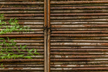 Japanese garden bamboo door in the winter