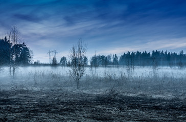 Fototapeta na wymiar Beautiful Landscape Of Thick Fog On Field With Trees And Blue Sky Evening Spring. Filtered Photography Image.