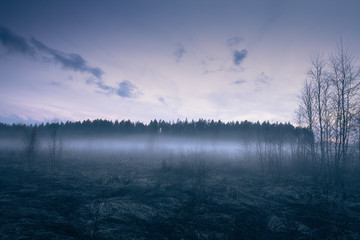 Fototapeta na wymiar Spring Field In Thick Fog Evening. Filtered Photography Image.
