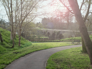 Spring country road in Northern Ireland