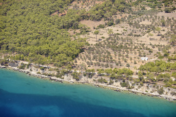 Aerial view of human impact on natural coastal vegetation olive plantations Gokova Turkey