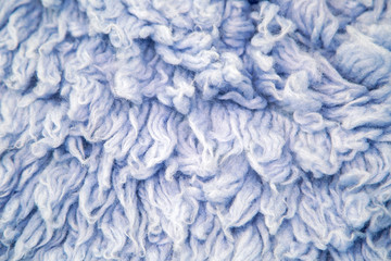 blue large long fur from the animal llama
