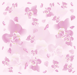 Fototapeta na wymiar Spring abstract pastel colors background with orchids 